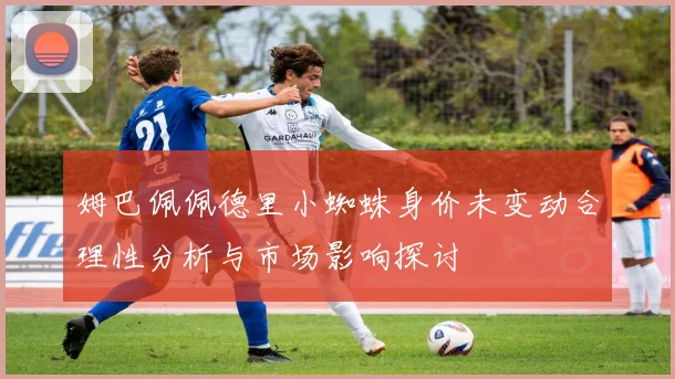 姆巴佩佩德里小蜘蛛身价未变动合理性分析与市场影响探讨