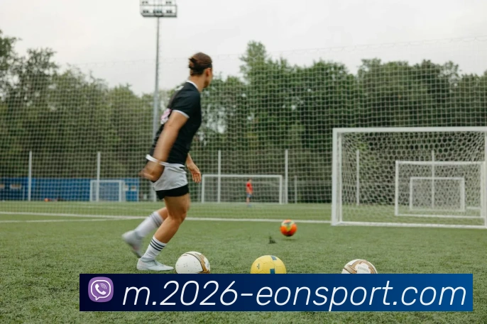 意昂体育平台生态图